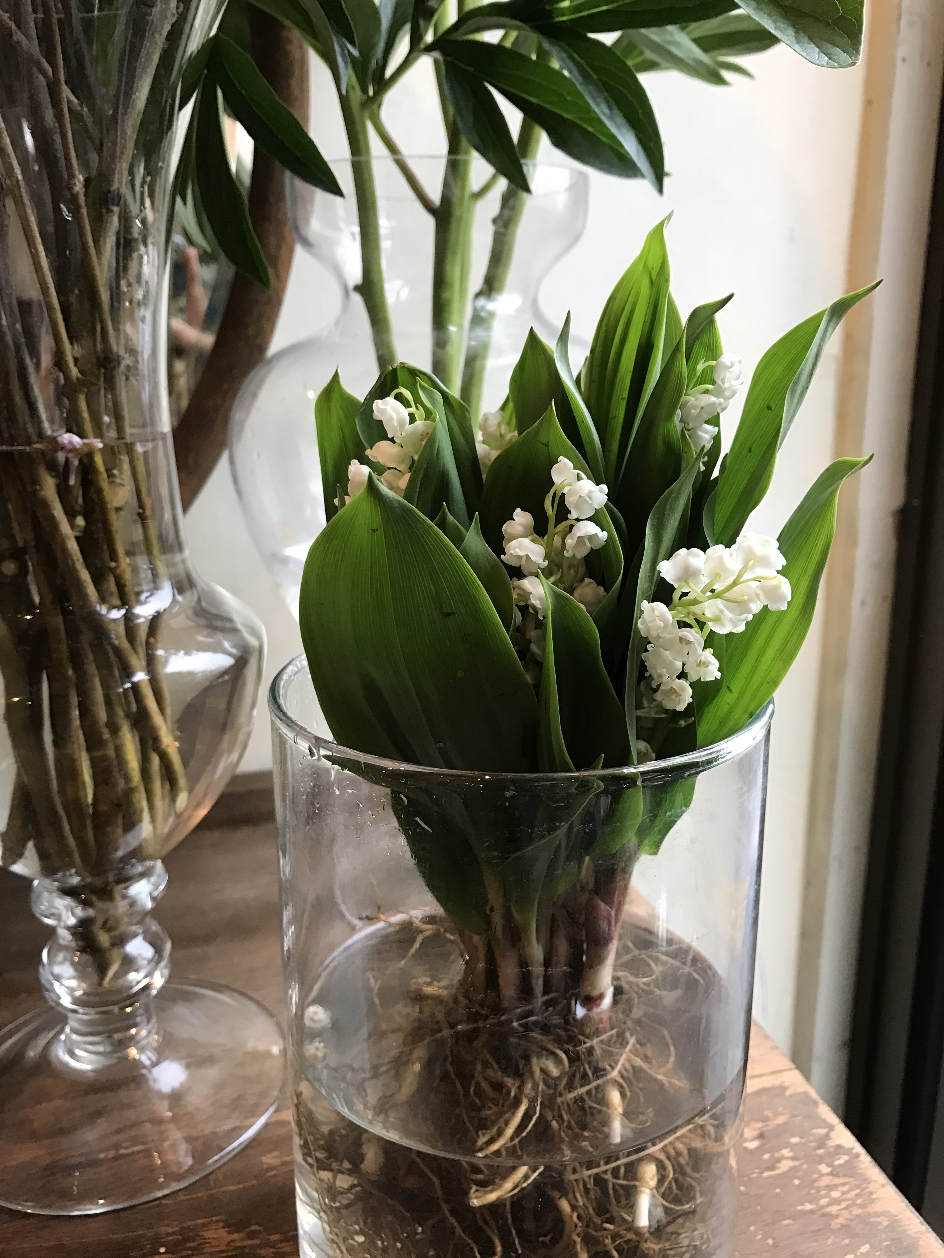 mother's day