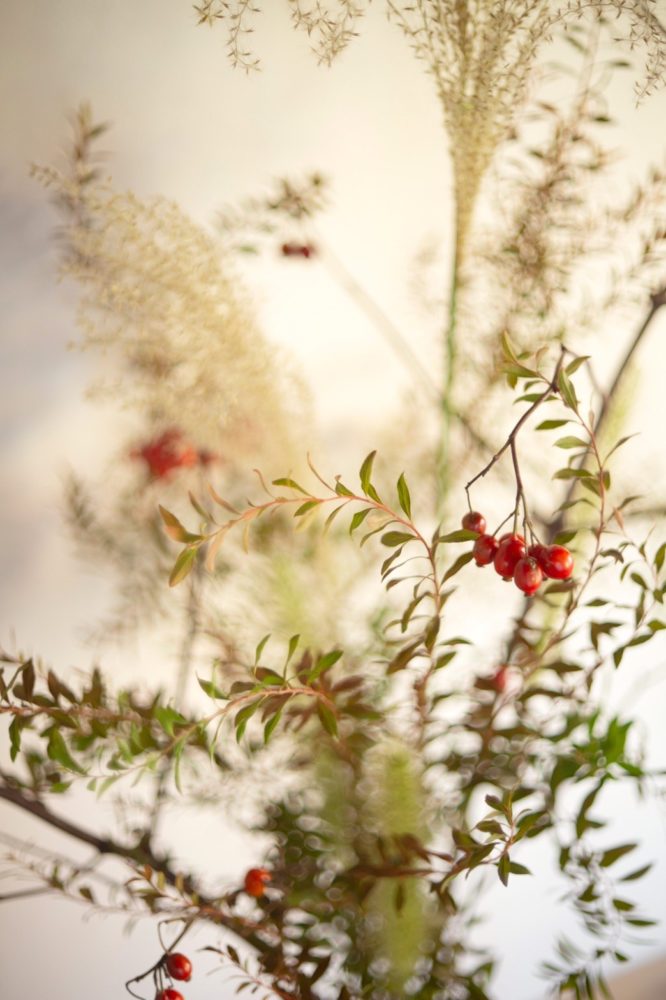 about - 桜山植物園